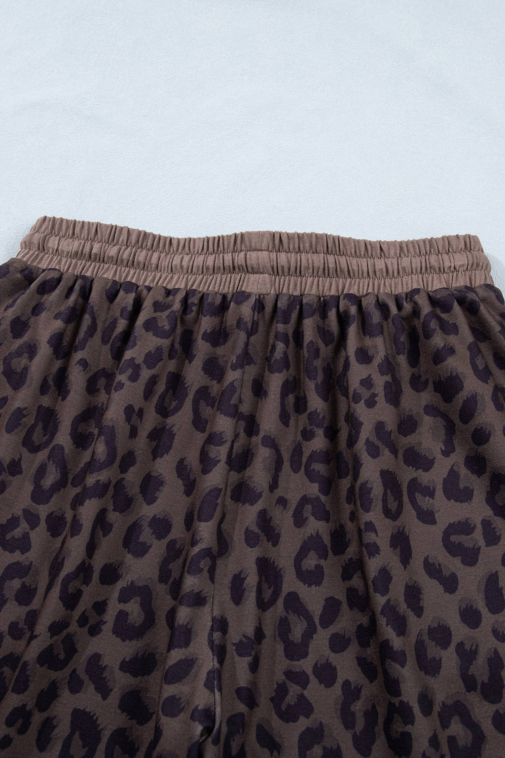 V Neck Collar Leopard Print Top and Shorts 2pcs Set (S-4X)