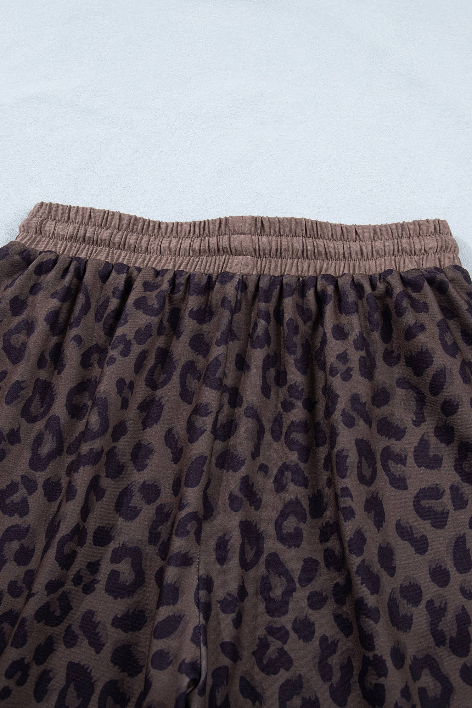 V Neck Collar Leopard Print Top and Shorts 2pcs Set (S-4X)