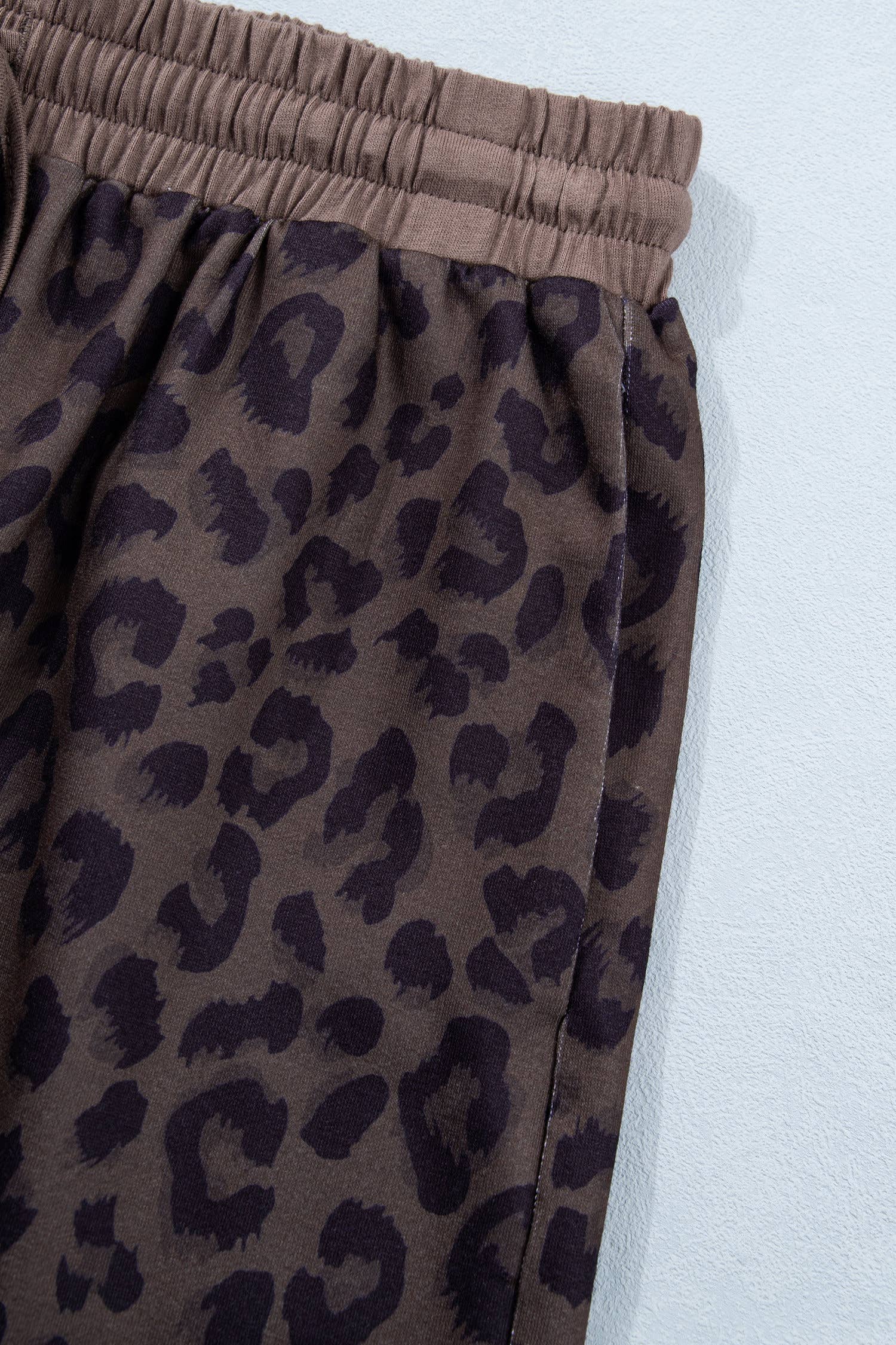 V Neck Collar Leopard Print Top and Shorts 2pcs Set (S-4X)