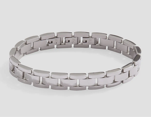 Alex and Ani Watchband Bracelet