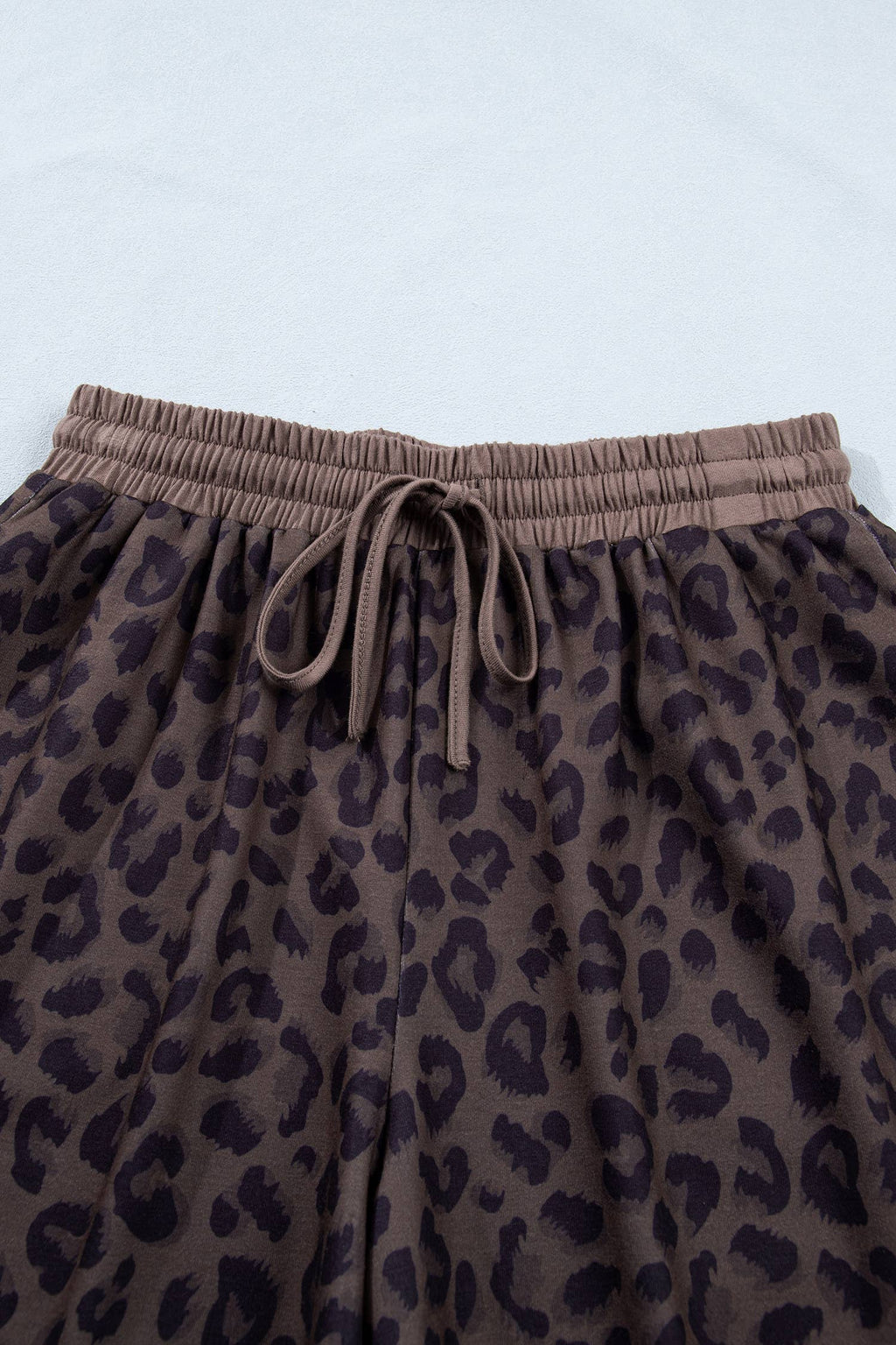 V Neck Collar Leopard Print Top and Shorts 2pcs Set (S-4X)