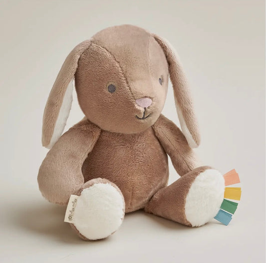 Billie The Bunny