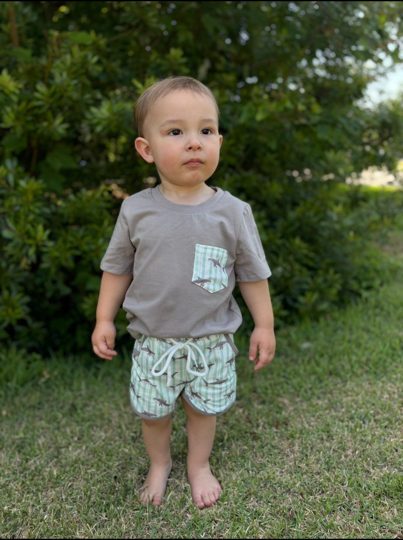 Shark Short Set