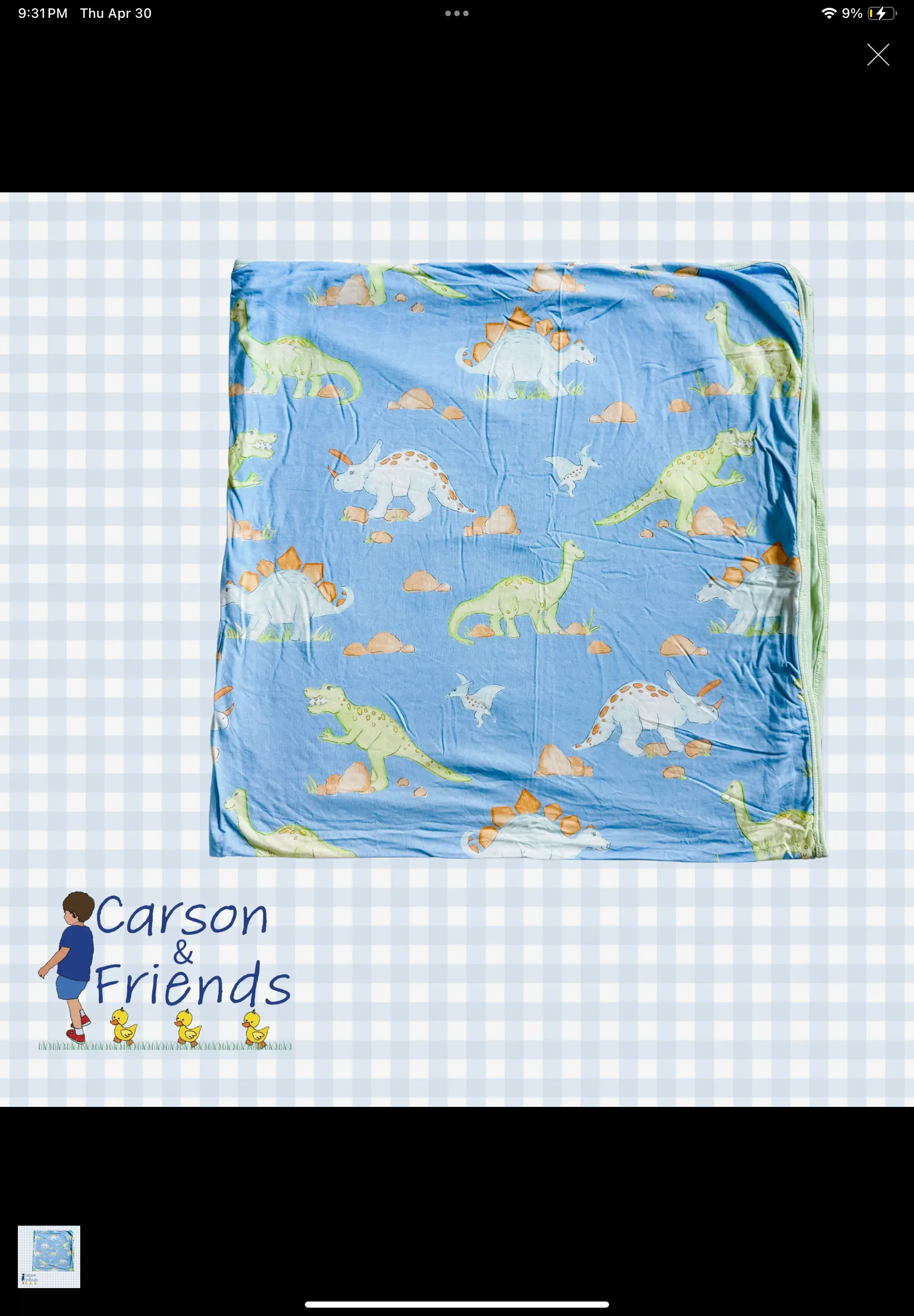 Bamboo Dino Blanket